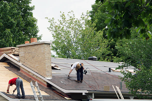 Best Metal Roofing Contractor  in Minturn, CO