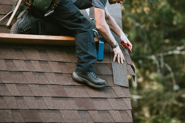 Best Roof Gutter Cleaning  in Minturn, CO